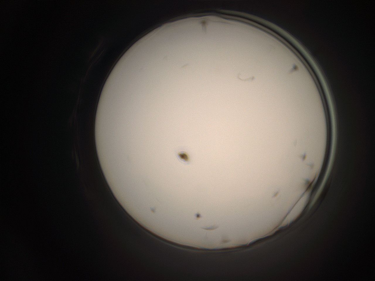06cp_P24_ImagerDefaults_1.jpg