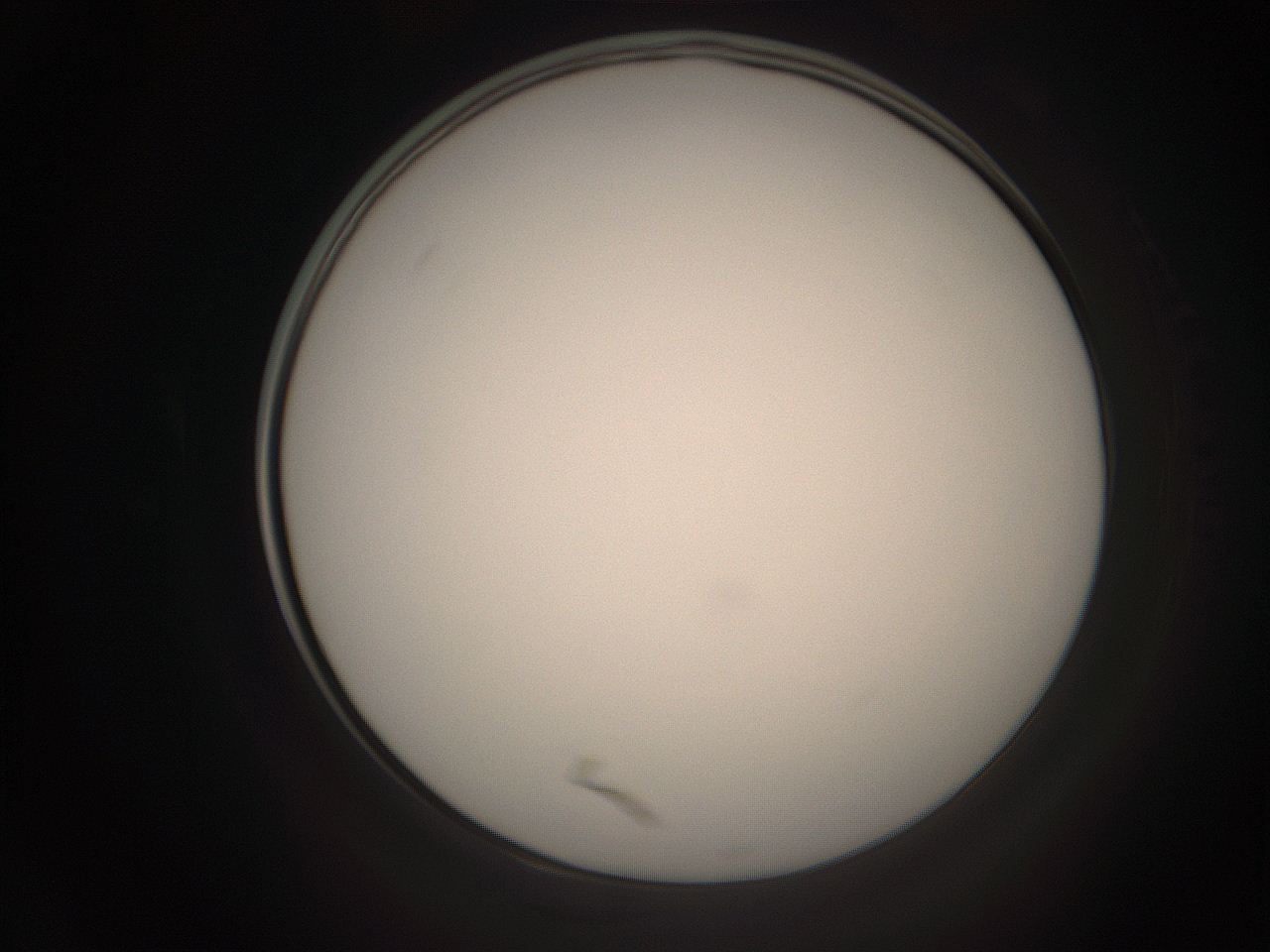 06cq_A19_ImagerDefaults_1.jpg