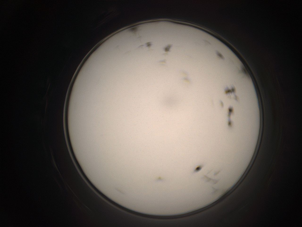 06cq_B7_ImagerDefaults_1.jpg