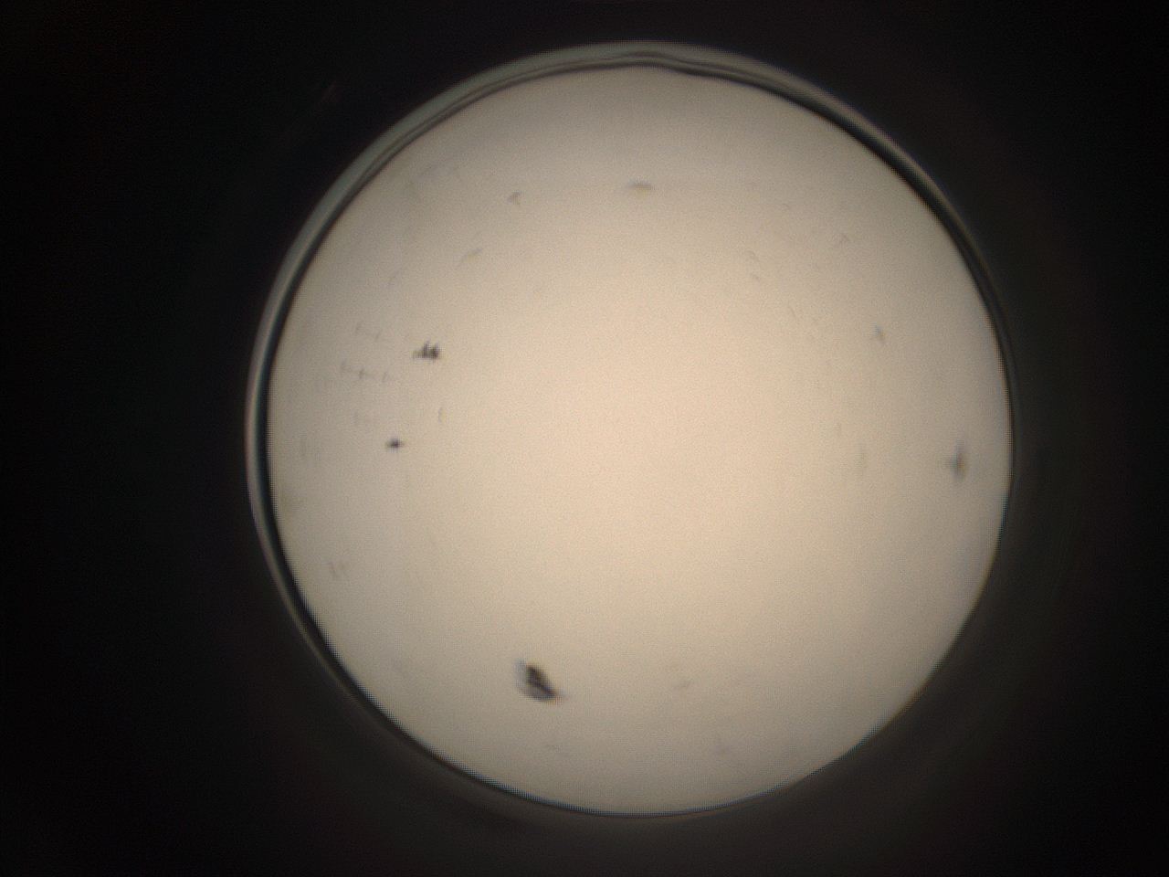 06cq_B19_ImagerDefaults_9.jpg
