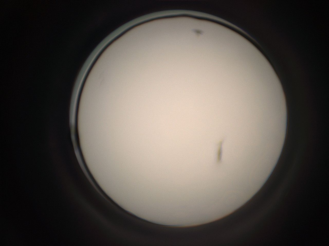 06cq_C21_ImagerDefaults_1.jpg