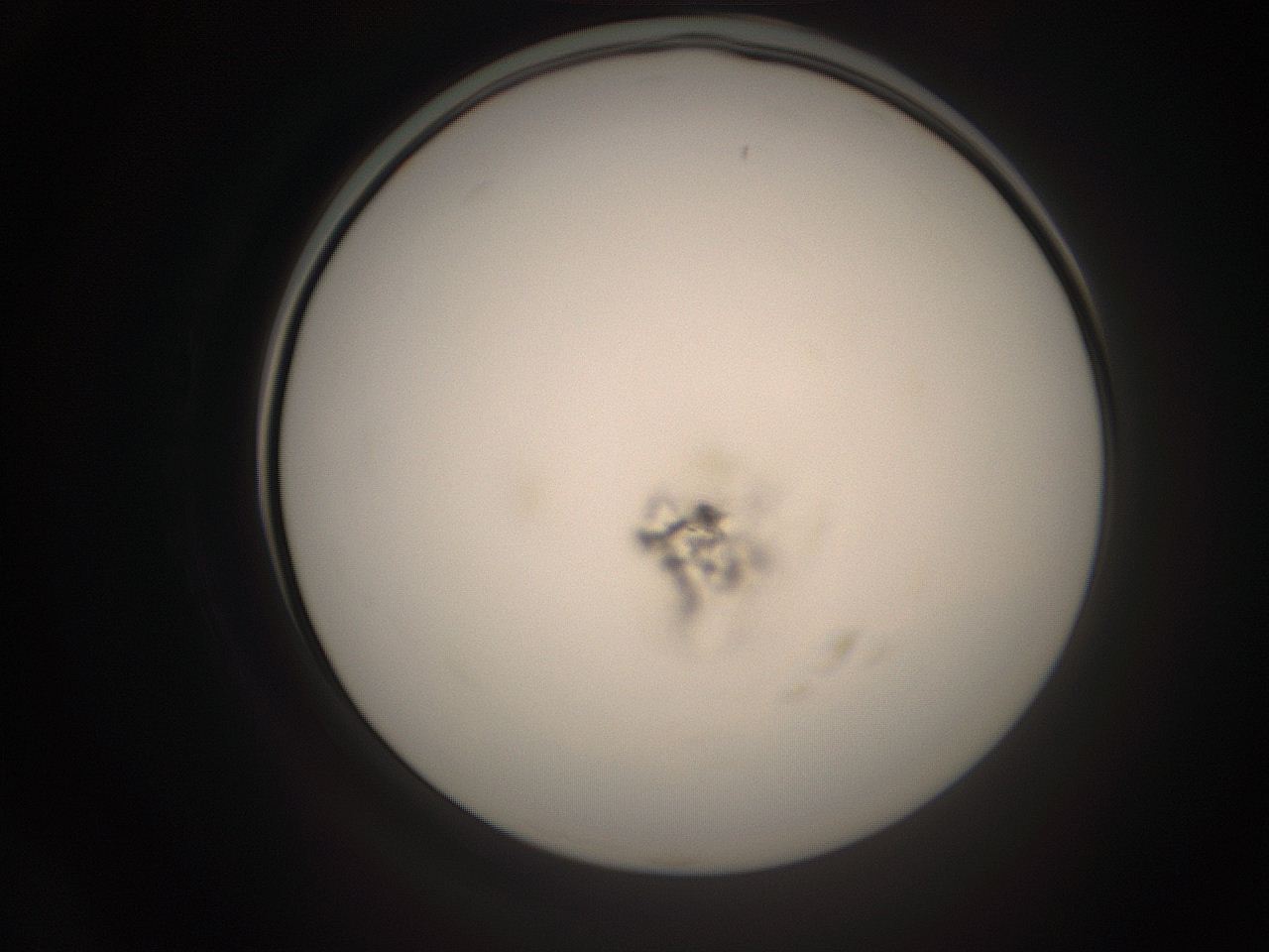 06cq_C24_ImagerDefaults_1.jpg