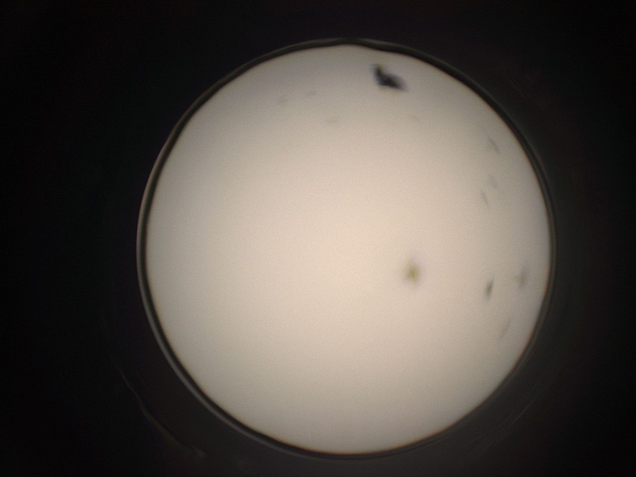 06cq_D7_ImagerDefaults_1.jpg