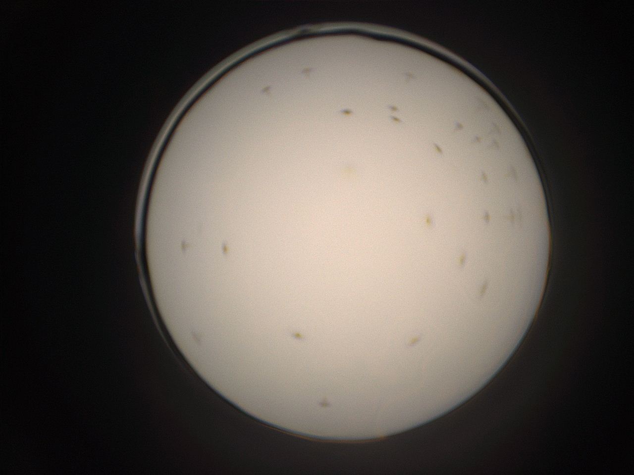 06cq_D20_ImagerDefaults_1.jpg