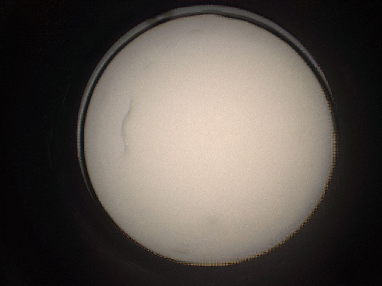 06cq_D24_ImagerDefaults_1.jpg