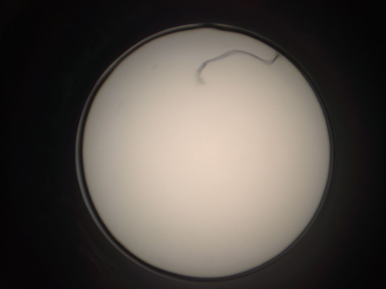 06cq_E2_ImagerDefaults_1.jpg