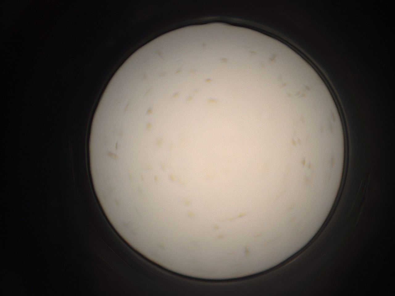 06cq_K9_ImagerDefaults_9.jpg