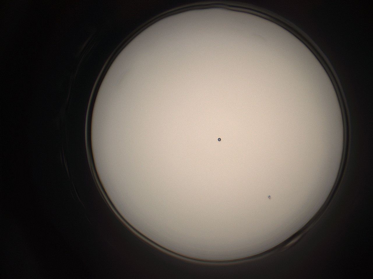 06cq_P24_ImagerDefaults_1.jpg