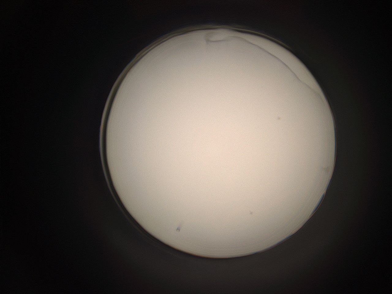 06cr_A16_ImagerDefaults_1.jpg