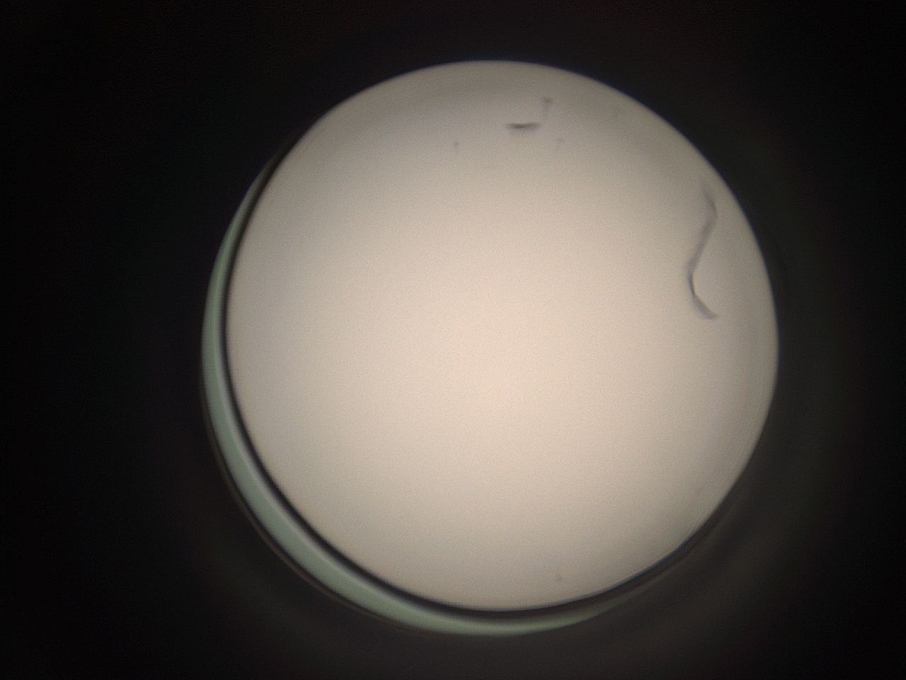 06ct_C4_ImagerDefaults_1.jpg