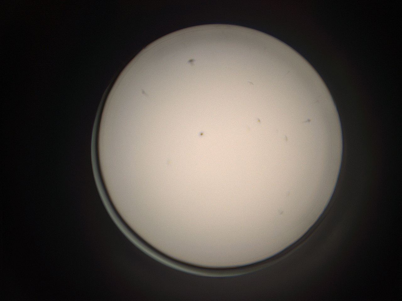 06ct_C9_ImagerDefaults_1.jpg