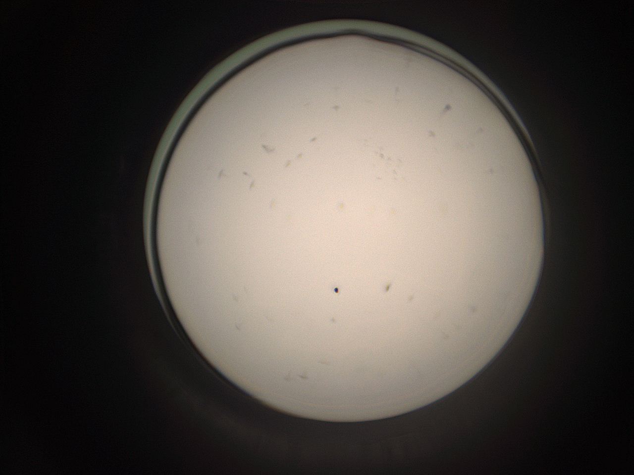 06ct_D24_ImagerDefaults_1.jpg