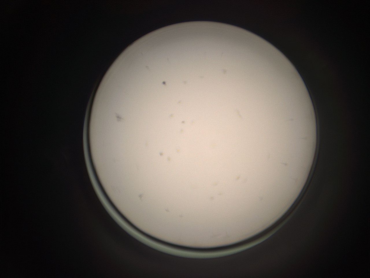 06ct_F8_ImagerDefaults_1.jpg