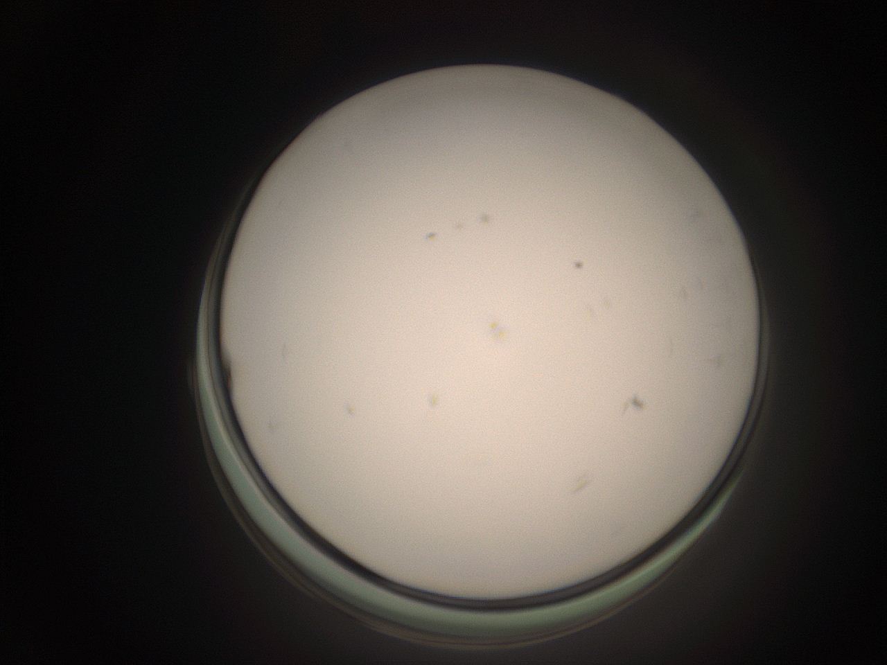 06ct_G1_ImagerDefaults_1.jpg
