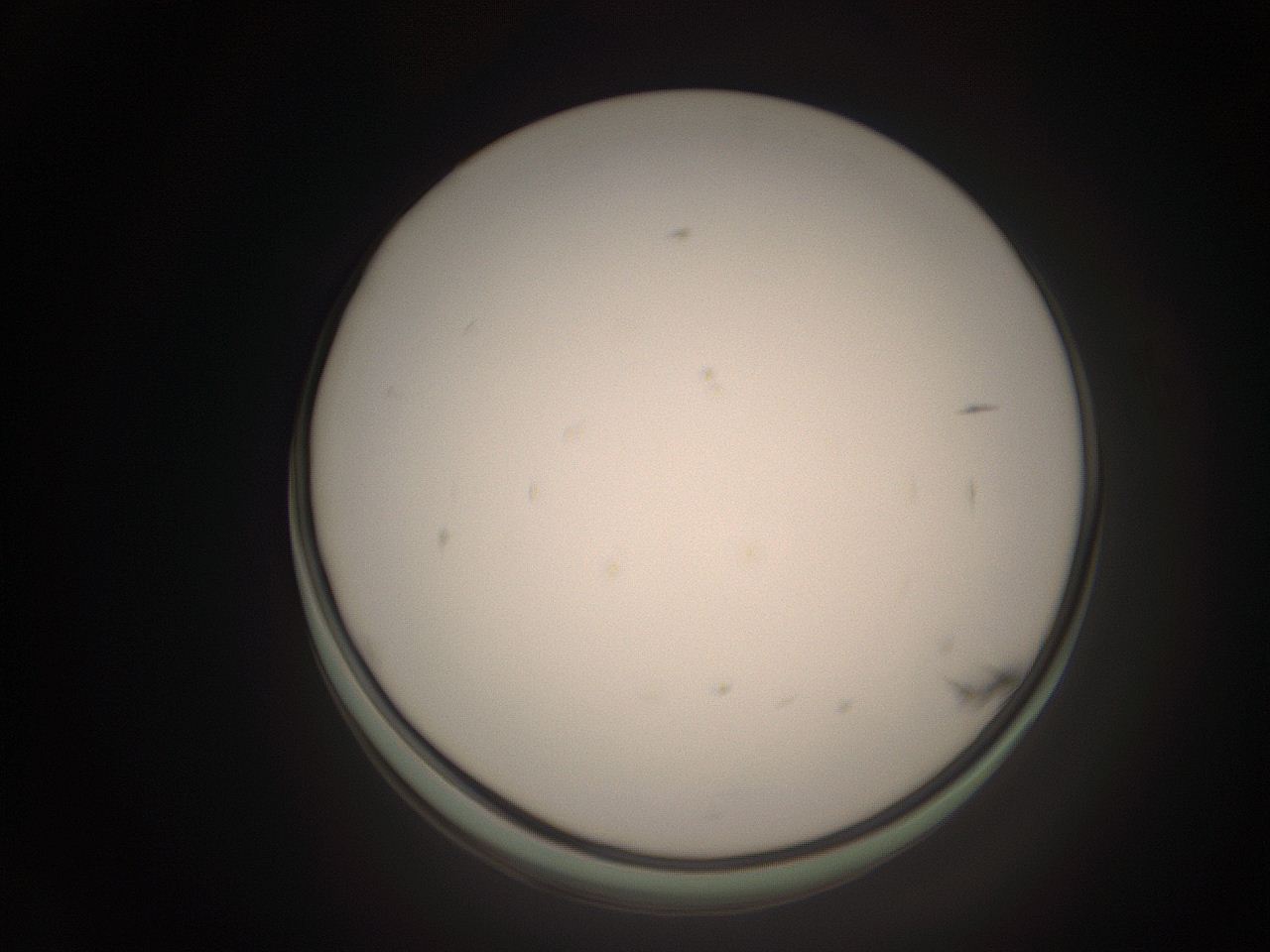 06ct_I1_ImagerDefaults_1.jpg