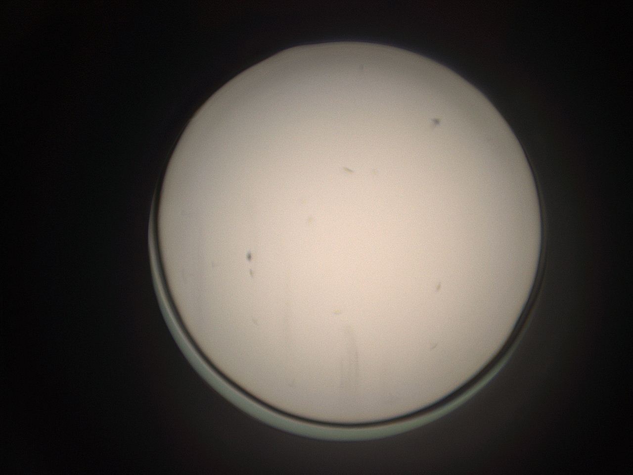 06ct_K4_ImagerDefaults_1.jpg