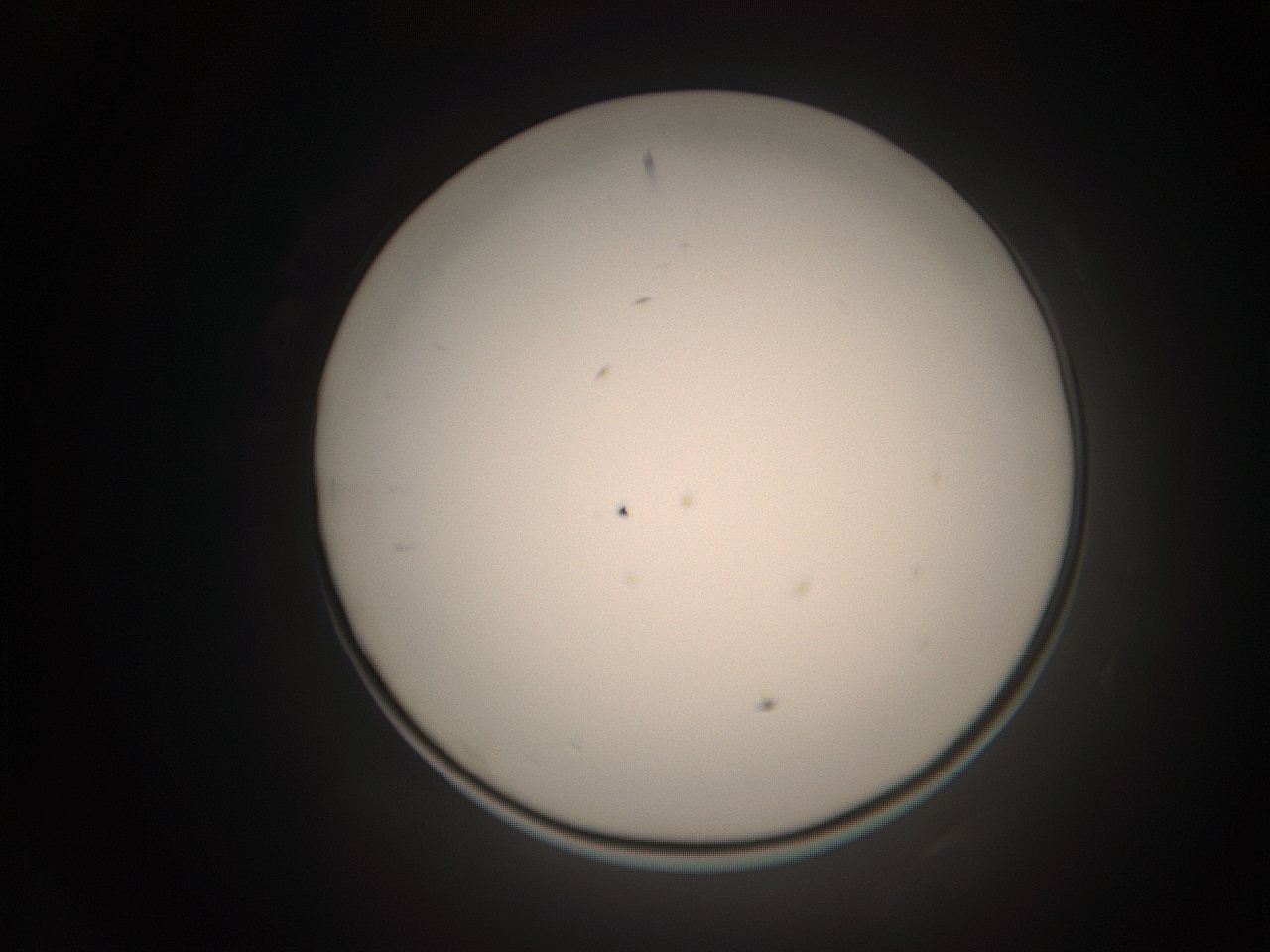 06ct_K8_ImagerDefaults_1.jpg