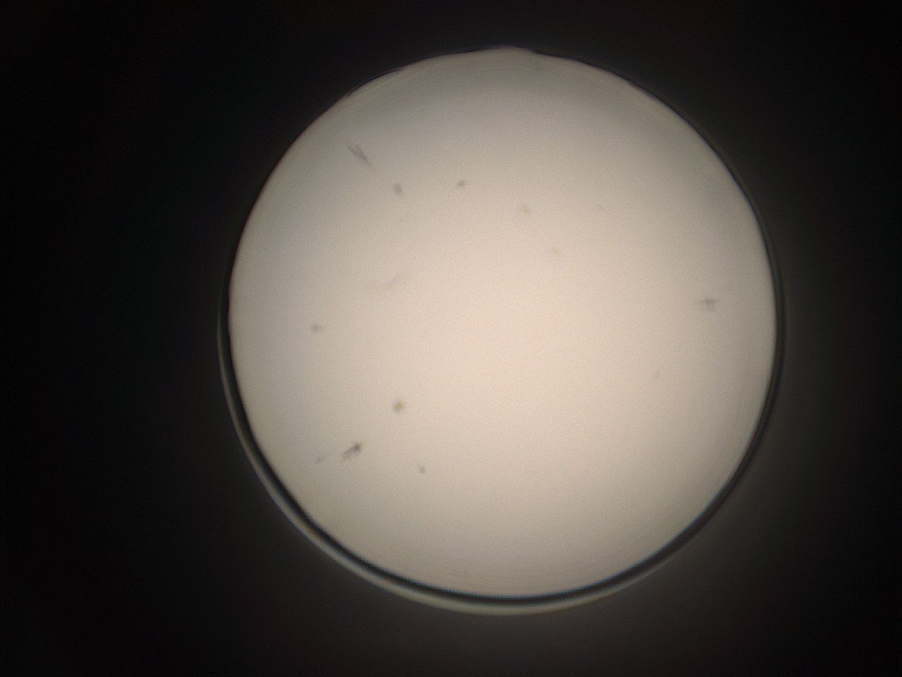 06ct_K12_ImagerDefaults_1.jpg
