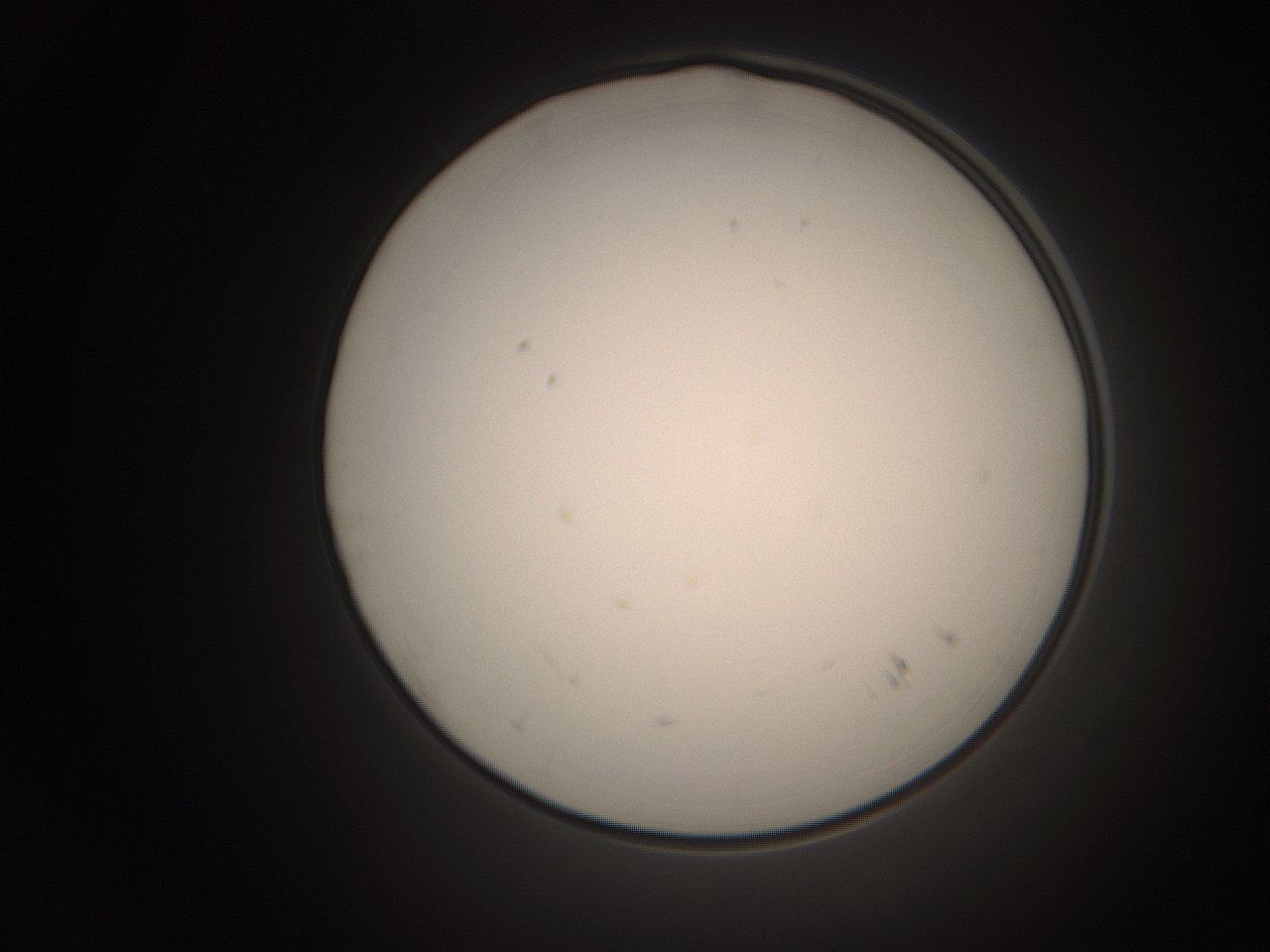 06ct_K19_ImagerDefaults_1.jpg