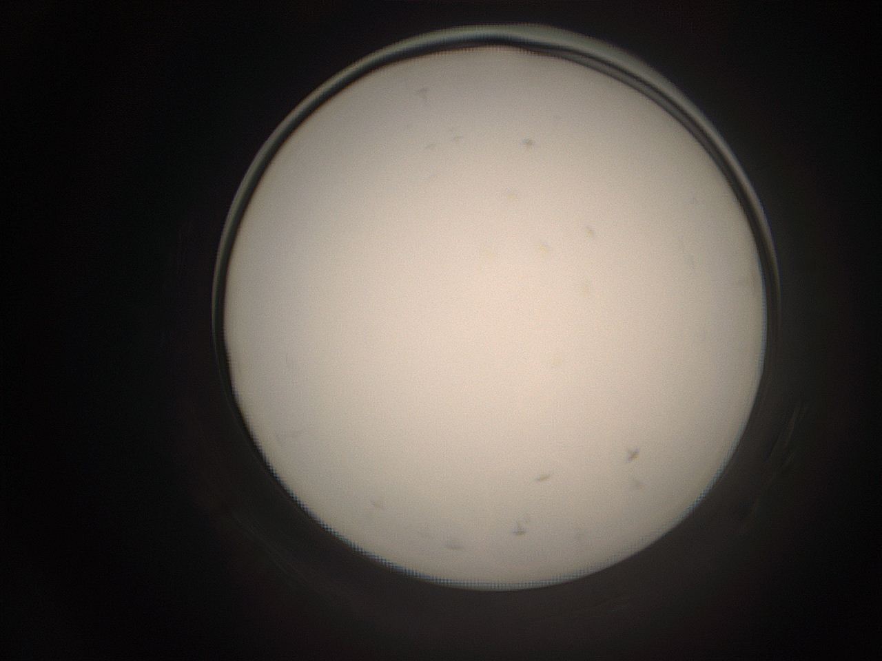 06ct_K24_ImagerDefaults_1.jpg