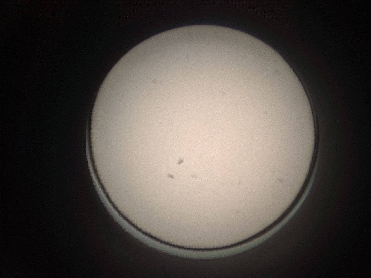 06ct_L4_ImagerDefaults_1.jpg