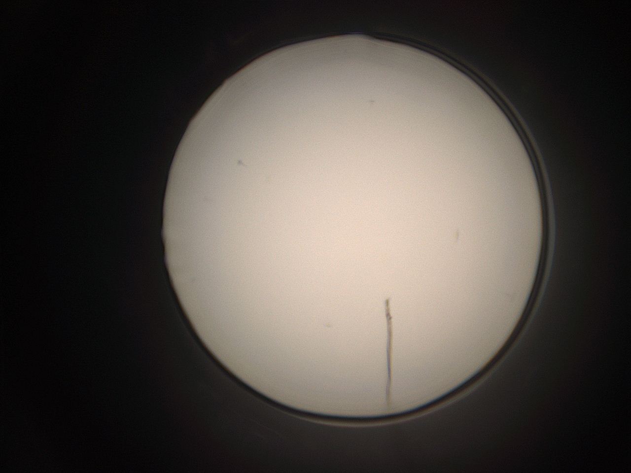 06ct_L16_ImagerDefaults_1.jpg