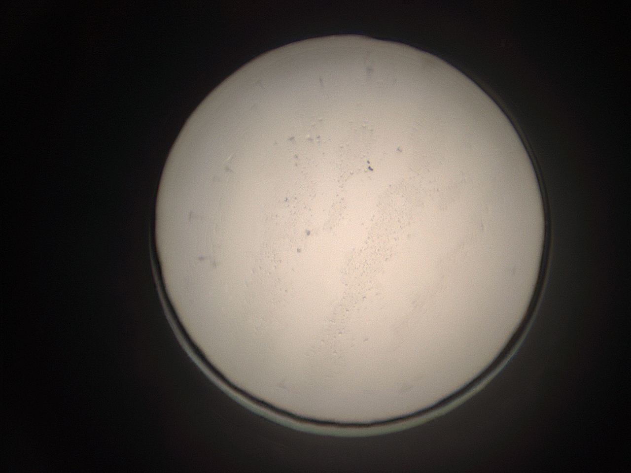 06ct_O10_ImagerDefaults_1.jpg