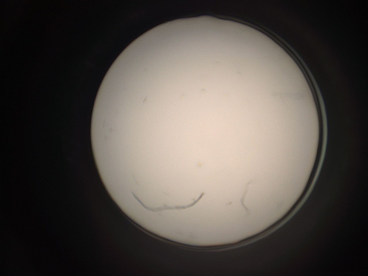 06ct_P14_ImagerDefaults_1.jpg