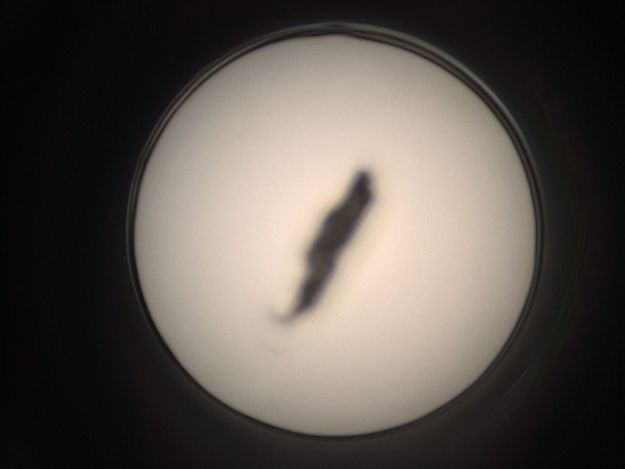 06cu_A12_ImagerDefaults_1.jpg