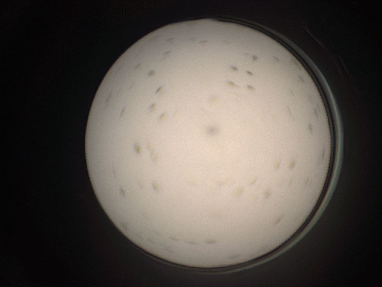 06cu_P8_ImagerDefaults_9.jpg
