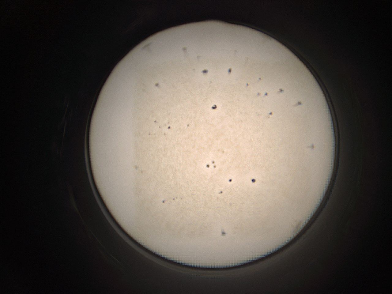 06cv_B7_ImagerDefaults_1.jpg