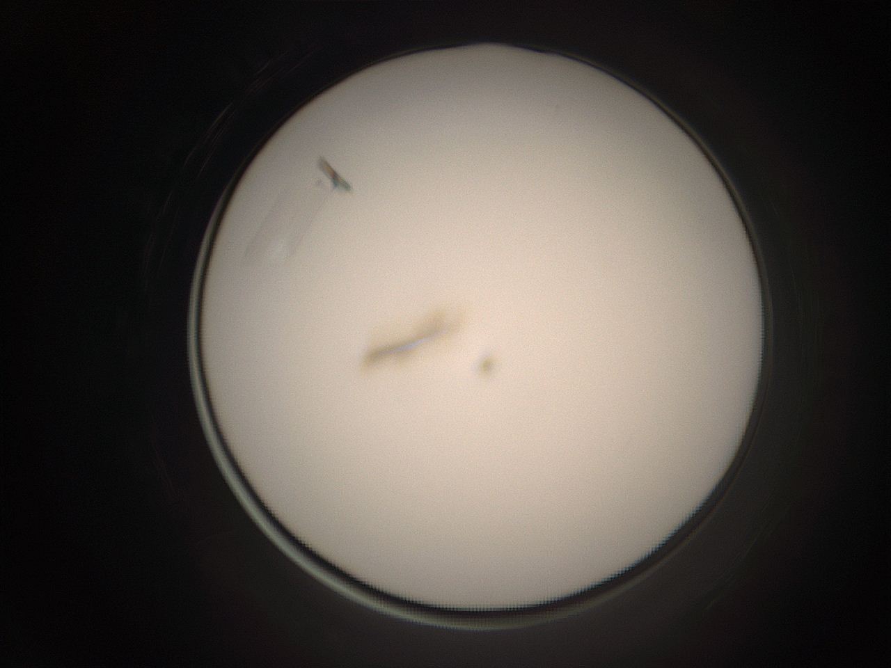 06cv_F2_ImagerDefaults_9.jpg