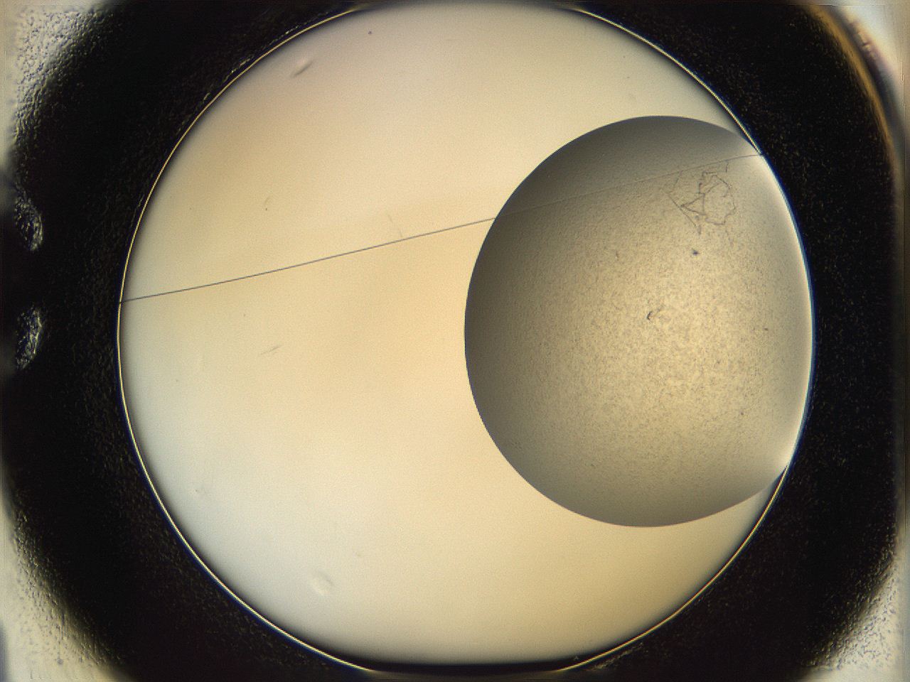 06dl_C1_ImagerDefaults_3.jpg