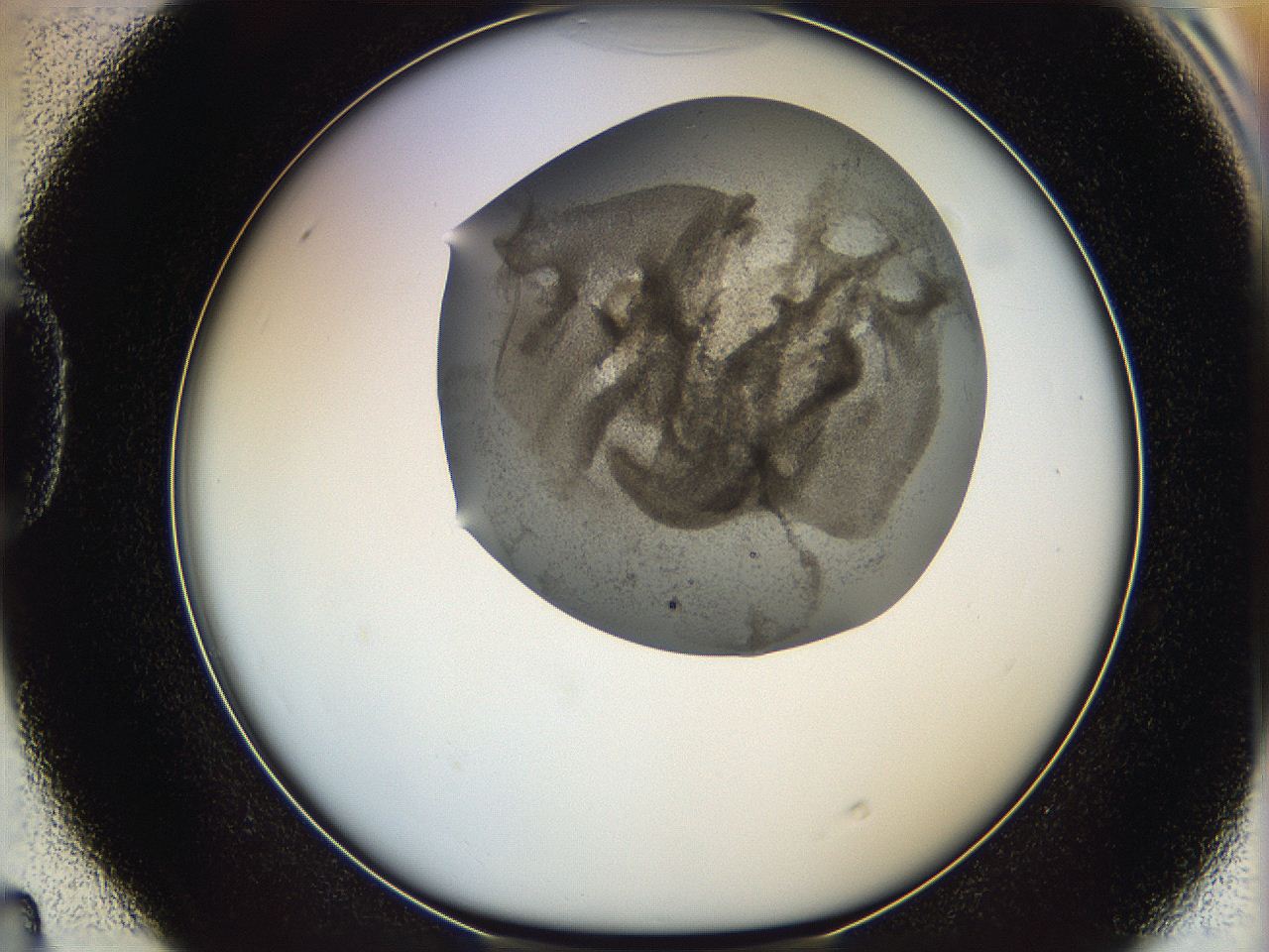 06dl_D4_ImagerDefaults_3.jpg