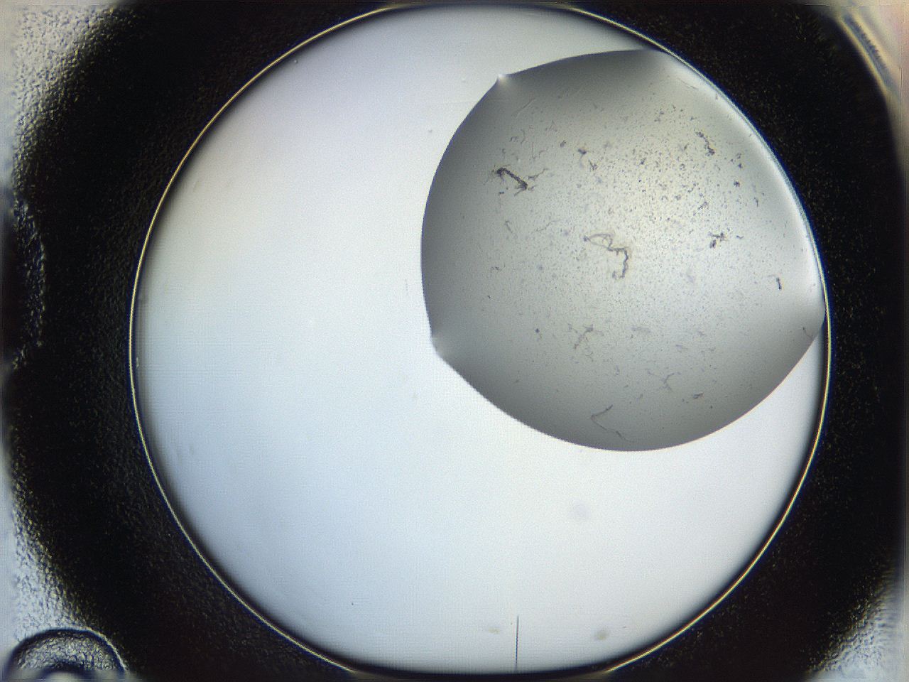 06dl_D10_ImagerDefaults_2.jpg