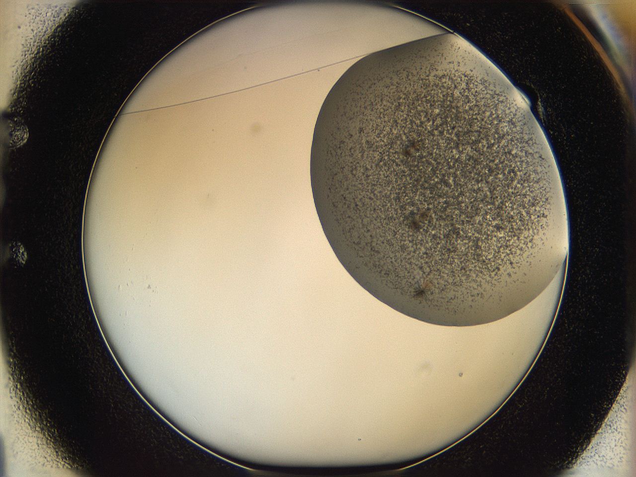 06dl_E1_ImagerDefaults_3.jpg