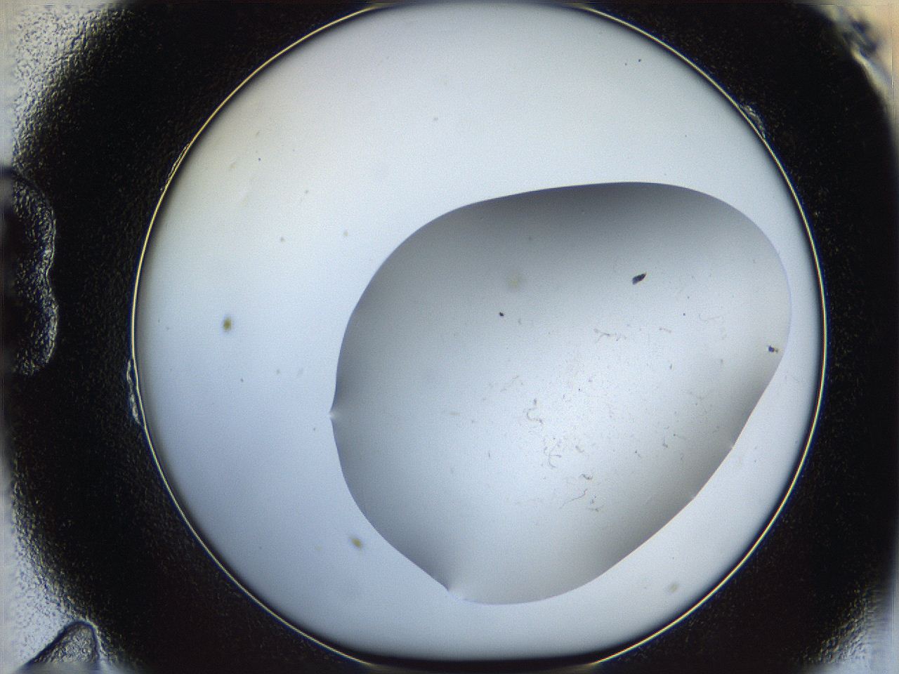 06dl_B11_ImagerDefaults_2.jpg
