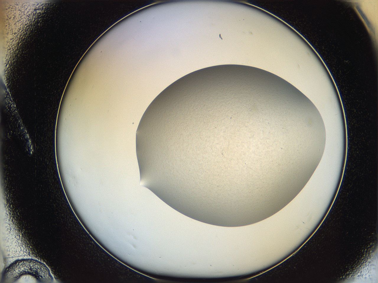 06dl_A10_ImagerDefaults_2.jpg
