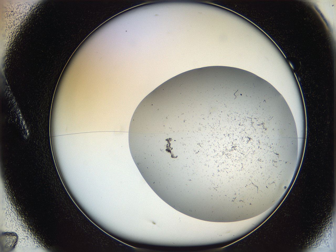 06dl_A7_ImagerDefaults_1.jpg