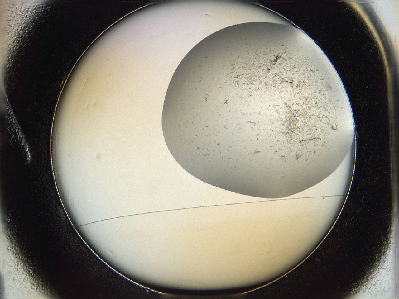 06dl_A1_ImagerDefaults_2.jpg