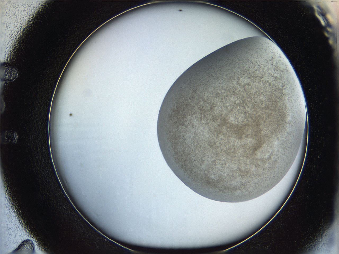 06dl_E11_ImagerDefaults_3.jpg