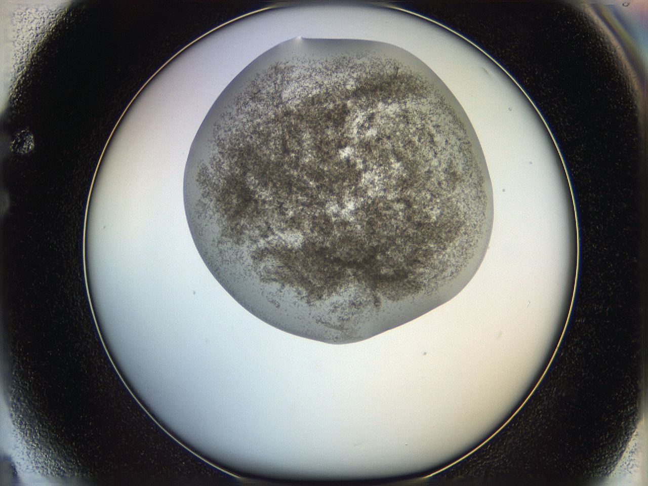 06dl_F4_ImagerDefaults_3.jpg