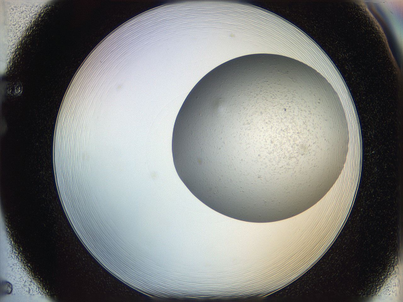 06dl_F5_ImagerDefaults_0.jpg