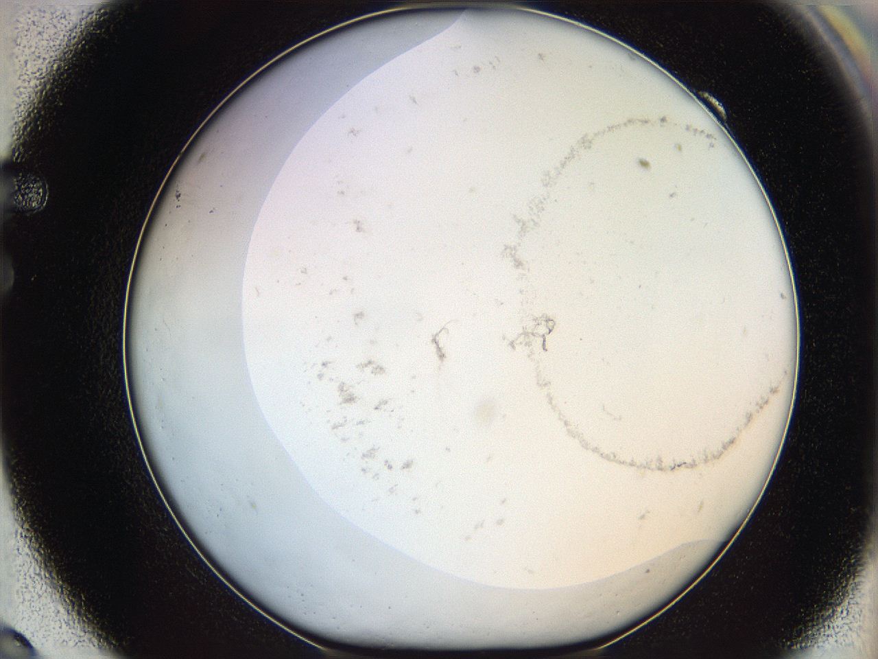 06dl_F9_ImagerDefaults_2.jpg