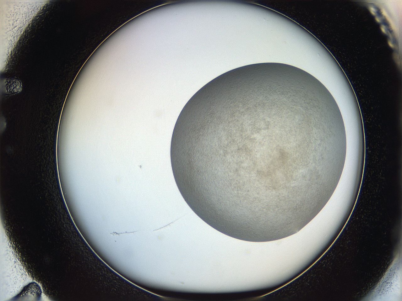 06dl_F11_ImagerDefaults_3.jpg