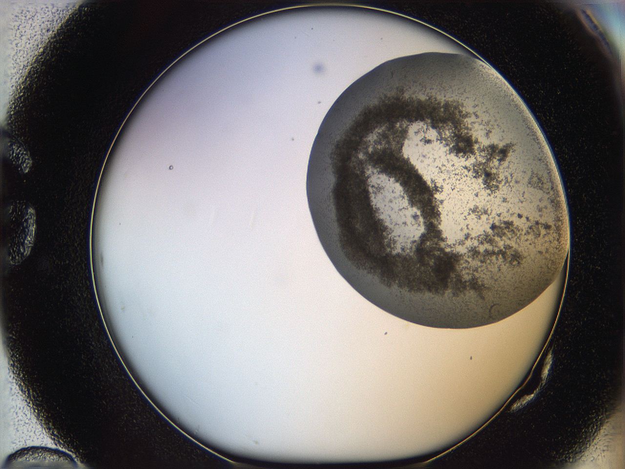06dl_G10_ImagerDefaults_3.jpg