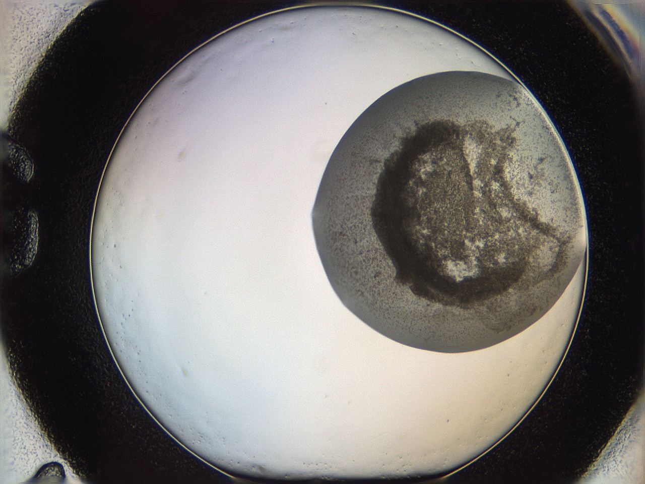 06dl_G11_ImagerDefaults_3.jpg