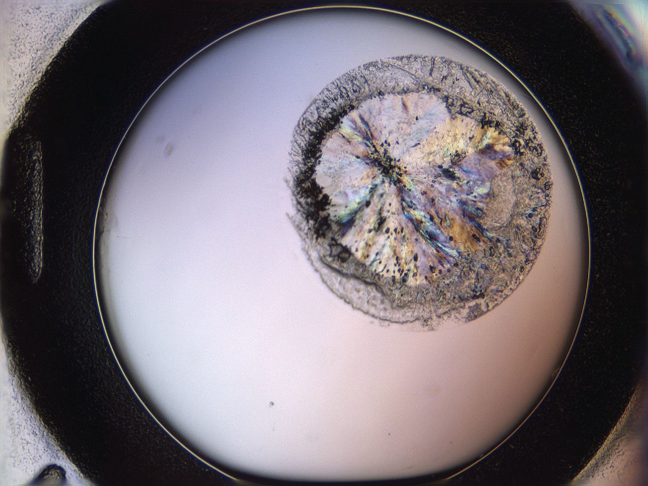 06dl_H11_ImagerDefaults_3.jpg