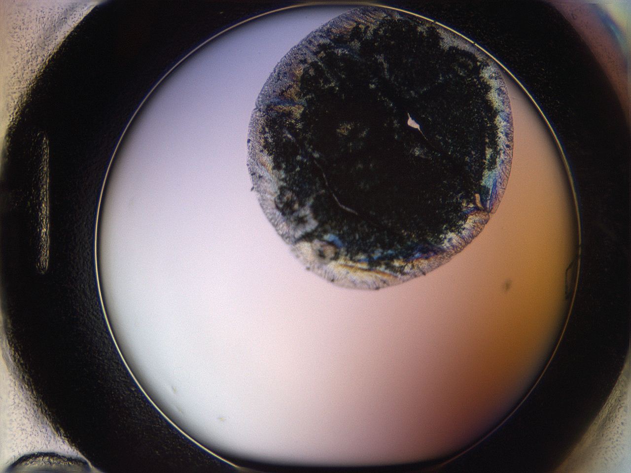 06dl_H12_ImagerDefaults_3.jpg