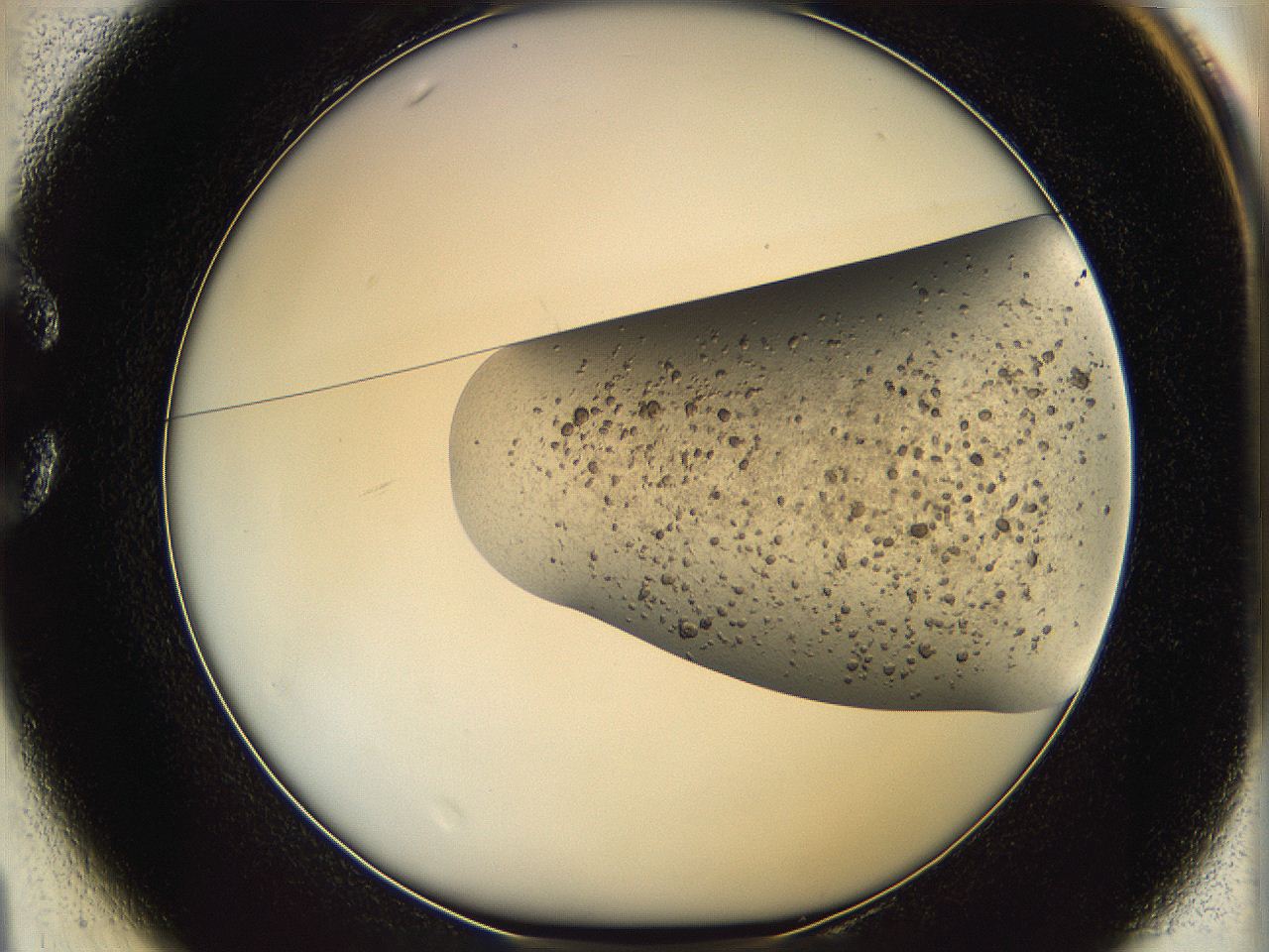 06dm_C1_ImagerDefaults_3.jpg